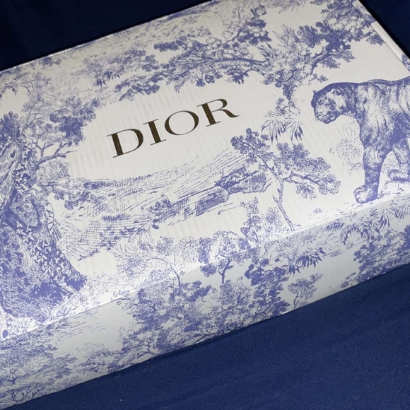 Dior Luxury Monogram Saddle Bag - Picture 11 of 16